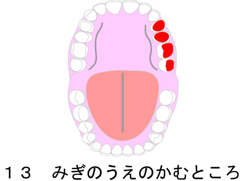 (13)݂̂̂ނƂ