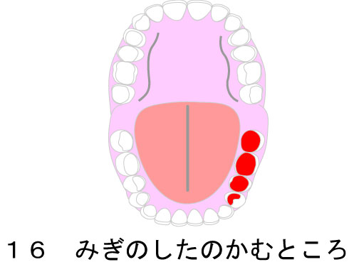 (16)݂̂̂ނƂ