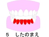 (5)̂܂