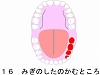 (16)݂̂̂ނƂ